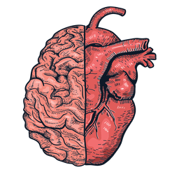 Realistische Herzhirnillustration PNG-Design