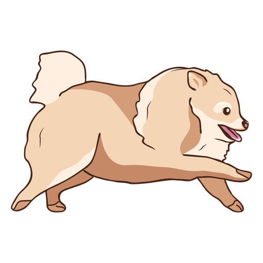 Perro Pomerania corriendo ilustraci?n Diseño PNG