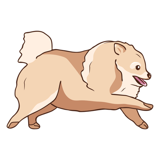 Pomeranian dog running illustration PNG Design