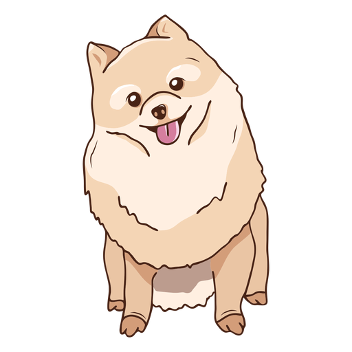 Download Pomeranian dog sitting illustration - Transparent PNG ...