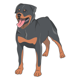 Rottweiler dog illustration PNG Design