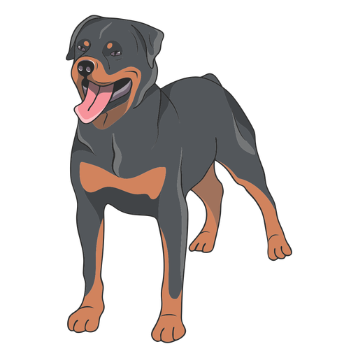 Ilustração de cachorro Rottweiler Desenho PNG