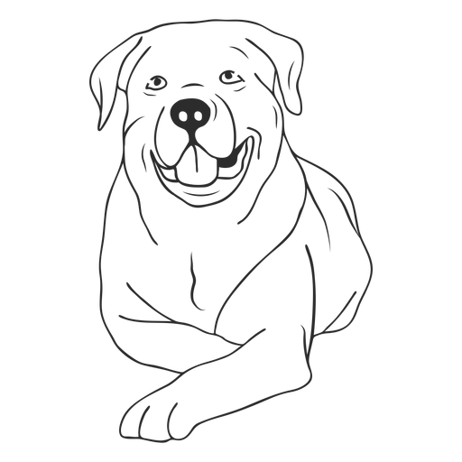 Rottweiler Dog Lying Down Stroke Transparent Png Svg Vector File