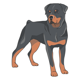 Rottweiler dog side illustration Rottweiler dog side illustration