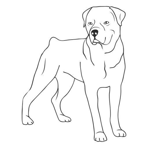 Rottweiler dog side stroke PNG Design