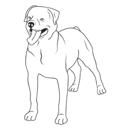 Golpe de perro rottweiler Diseño PNG