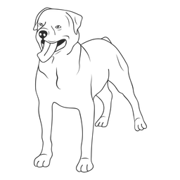 Rottweiler dog lying down illustration - Transparent PNG & SVG vector file