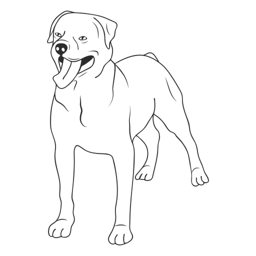 Rottweiler Dog Stroke Transparent Png Svg Vector File