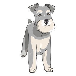 Schnauzer Dog Illustration PNG & SVG Design For T-Shirts