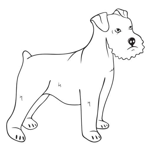 Schnauzer dog side stroke PNG Design