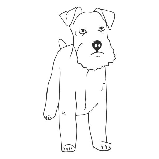 Curso de cão Schnauzer Desenho PNG