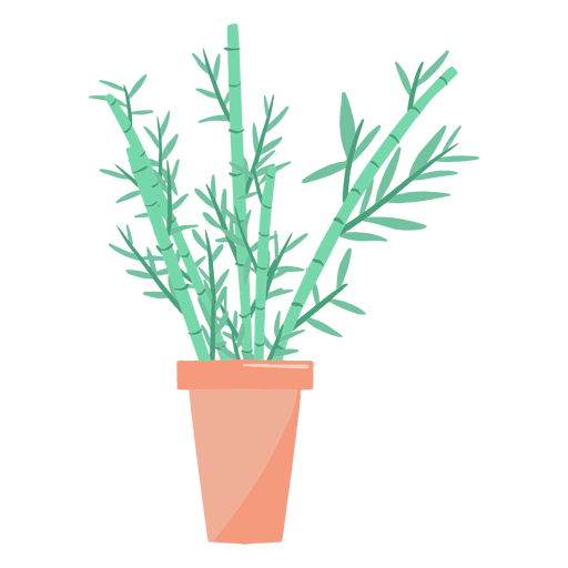 Download Beautiful Houseplant Illustration Transparent Png Svg Vector File