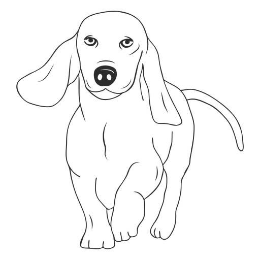 Dachshund dog walking stroke PNG Design