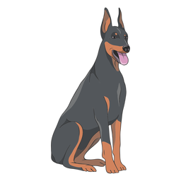 Ilustración de perro Doberman Diseño PNG