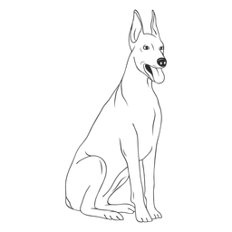 Doberman Dog Stroke PNG & SVG Design For T-Shirts