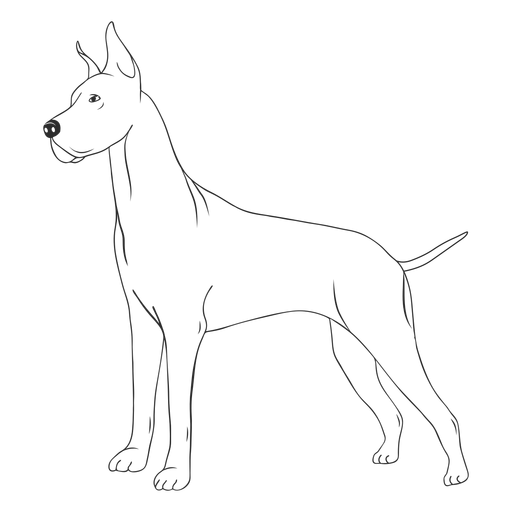 Great dane dog side stroke - Transparent PNG & SVG vector file