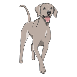 Happy weimaraner dog illustration PNG Design