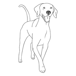 Feliz trazo de perro weimaraner Diseño PNG