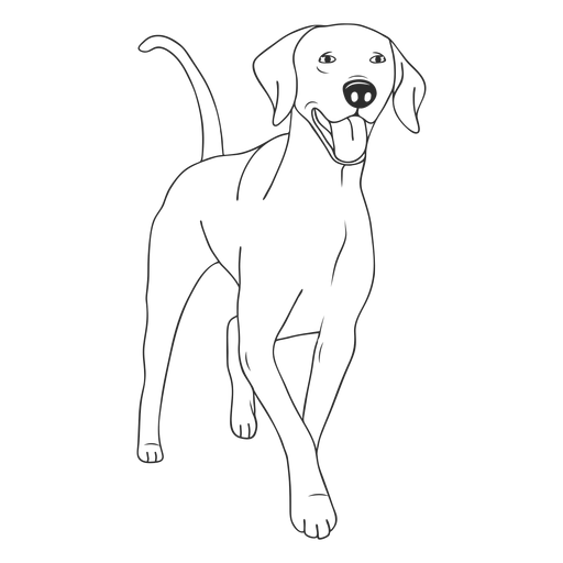 Feliz trazo de perro weimaraner Diseño PNG