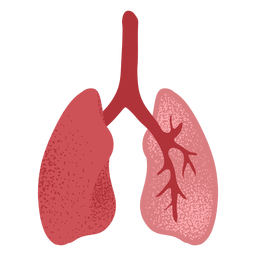 Lungs textured PNG Design
