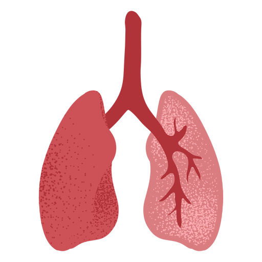 Lungs textured PNG Design