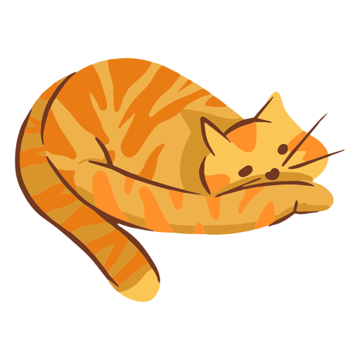 Orange cat illustration PNG Design