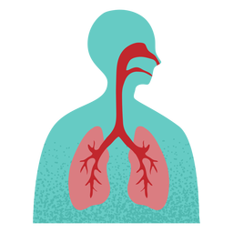 Respiratory System Textured PNG & SVG Design For T-Shirts