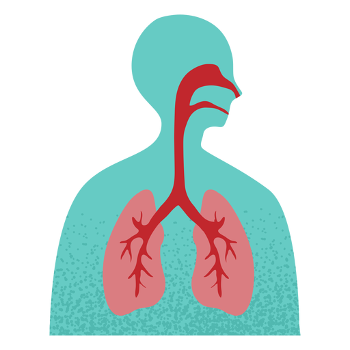 Respiratory system textured PNG Design