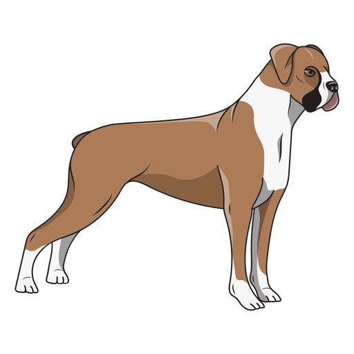 Ilustração de cão boxer lateral Desenho PNG