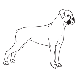 Side Boxer Dog Stroke PNG & SVG Design For T-Shirts