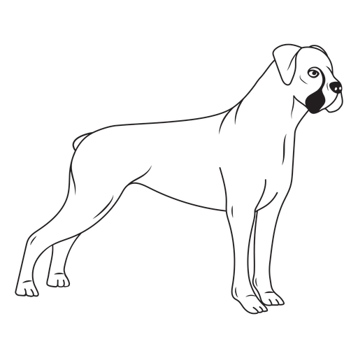 Side boxer dog stroke PNG Design