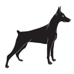 Cão doberman lateral preto Desenho PNG