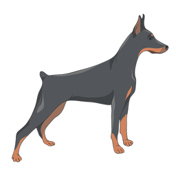 Side Doberman Dog Illustration PNG & SVG Design For T-Shirts