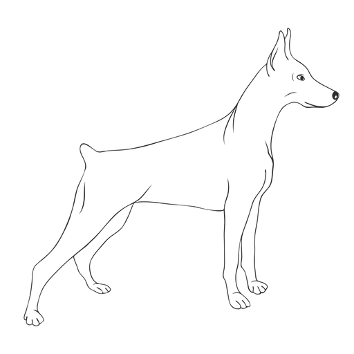 Side doberman dog stroke PNG Design