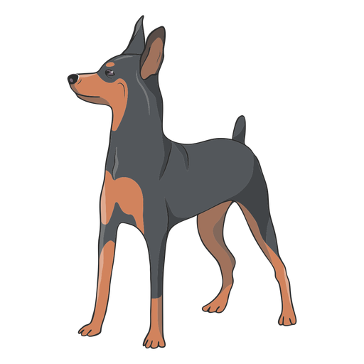 Seite Pinscher Hund Illustration PNG-Design