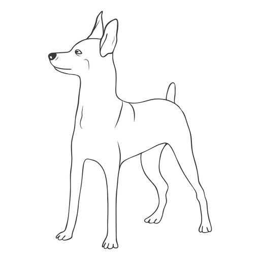 Pincelada de cão pinscher lateral Desenho PNG