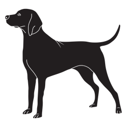 Curso lateral de cão weimaraner