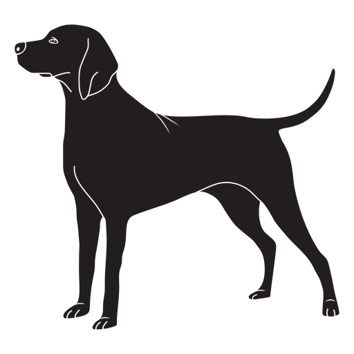 Side weimaraner dog stroke PNG Design