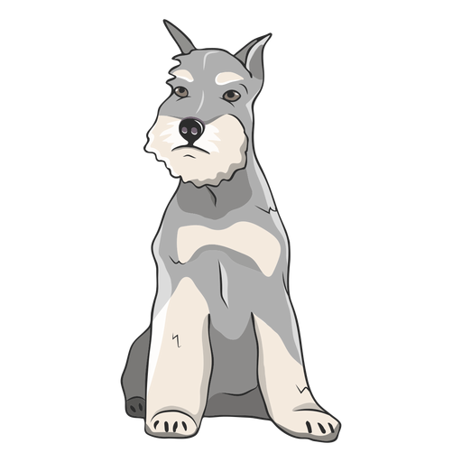 Sitzen Schnauzer Hund Illustration PNG-Design