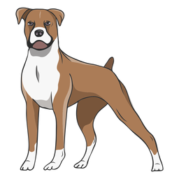 Standing boxer dog illustration PNG Design