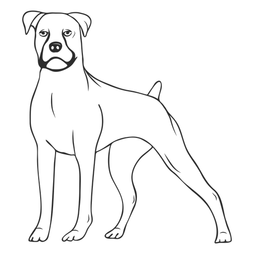 Standing Boxer Dog Stroke Transparent Png Svg Vector File