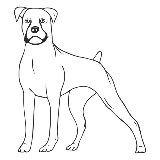 Standing boxer dog stroke PNG Design