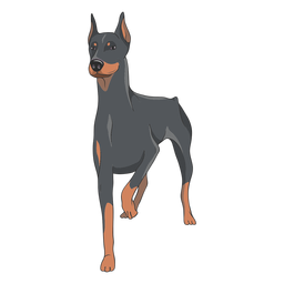Ilustração de cachorro doberman em pé Transparent PNG