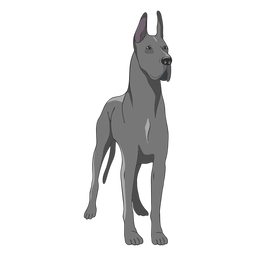 Ilustración de perro gran danés de pie Diseño PNG