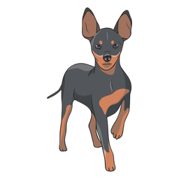 Ilustração de cão pinscher em pé Desenho PNG