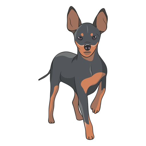 Stehende Pinscherhundeillustration PNG-Design