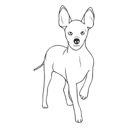 Side pinscher dog illustration - Transparent PNG & SVG vector file