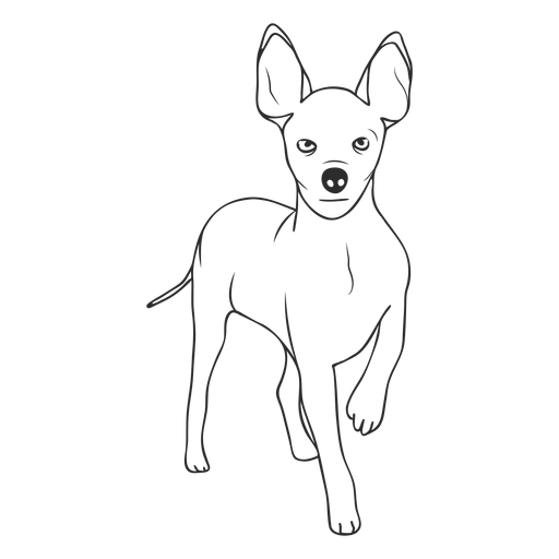 Pincelada de cão pinscher em pé Desenho PNG