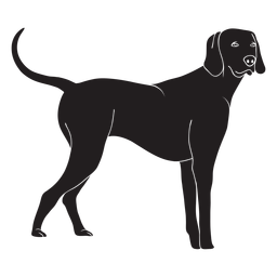 Cão weimaraner preto em pé Desenho PNG
