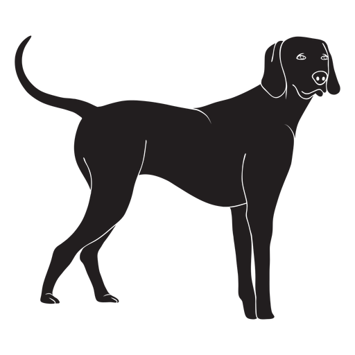 Perro weimaraner de pie negro Diseño PNG